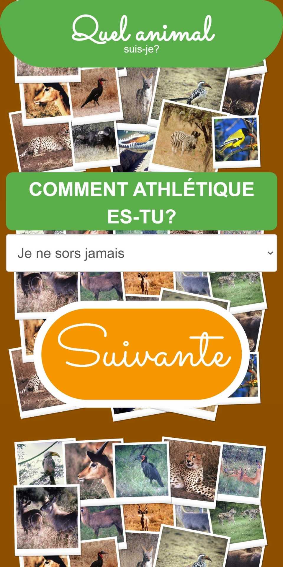 Quel animal suis-je